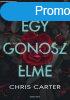 Egy gonosz elme