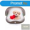 Chipolino UTY auts lsmagast 125-150 cm - Doggie