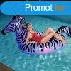 Zebra rider beptett LED vilgtssal 2.54m x 1.42m