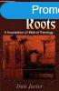 Jewish Roots: A Foundation of Biblical Theology - Dan Juster