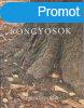 Rongyosok - Pajor Andrs (dediklt)