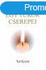 Egy tkr cserepei - Csokits Jnos