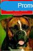 Boxer - vsrls, tarts, nevels - Gudrun Beckmann