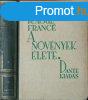 A nvnyek lete - Raoul France