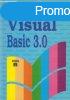 Visual Basic 3.0 - Hargittai Pter