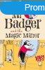 Mr Badger and the Magic Mirror - Leigh Hobbs