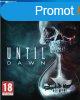 Sony Until Dawn (PS4)