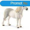 Schleich Welsh pni csdr