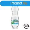 svnyvz Theodora 1,5l, ds, DRS djas