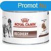 Royal Canin Recovery Cats/Dogs konzerv 195 g