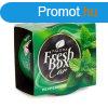 Paloma Illatost - Paloma Fresh box - Peppermint - 25 g (P2