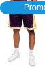 Mitchell & Ness Shorts Los Angeles Lakers NBA Wild Life 