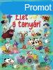 let a tanyn