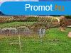 Tjpanorms,telepls kzeli- elad MEZGAZDASGI TERLET Z