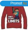 Minecraft gyerek hossz ujj pl, fels 10 v