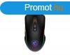 Msi Forge GM300 Gaming mouse Black