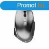 Canyon CNS-CMSW21DG Wireless mouse Dark Gray