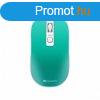 Canyon CNS-CMSW18A Wireless Charging Aquamarine