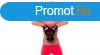 Fles slyz, fm - Kettlebell, 12 kg